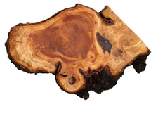 Corteccia legno ciliegio - corteccia,
