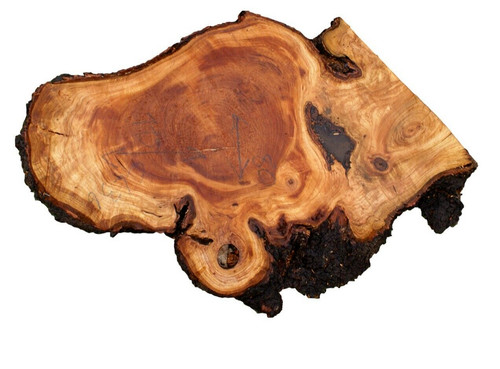Corteccia legno ciliegio - corteccia,