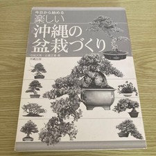 Fun Okinawan Bonsai Making