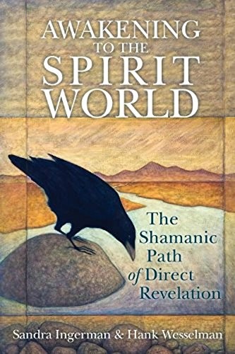 Awakening the spirit world - the,