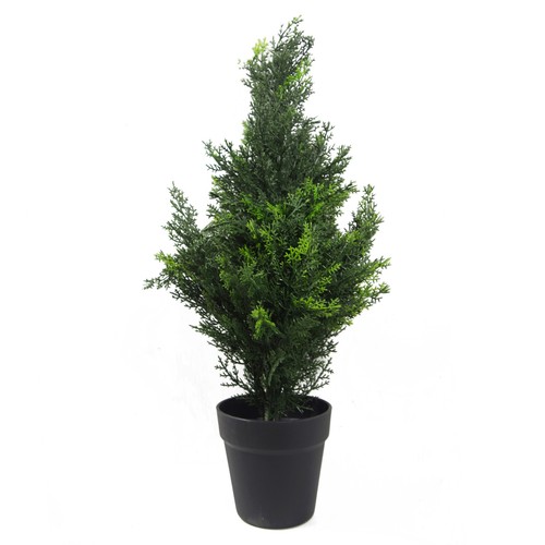 Albero topiario cedro - , da