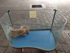 Vasche per tartarughe