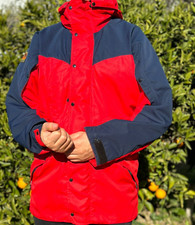 Paramo Halcon Pajaro