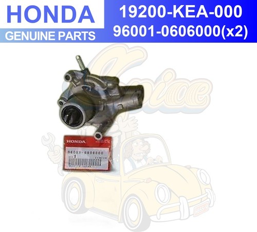 Pompa acqua honda - acqua, hornet