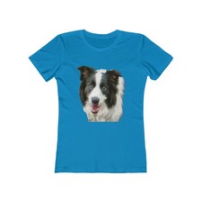 Border Collie 'Archie' -