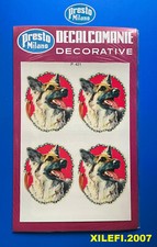 pastore tedesco teste