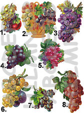 ADESIVO GRAPPOLO di UVA STICKERS GRAPES (8 TIPI) piastrelle cucina IMPERMEABILE