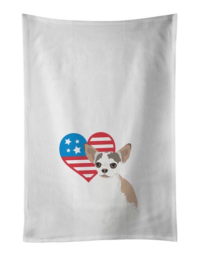 Nuovo chihuahua merle - nuovo,