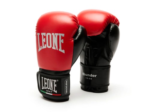 Leone guantoni boxe kickboxing - guantoni,