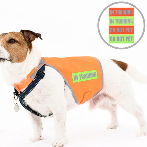 4pz toppe gilet - 4pz,