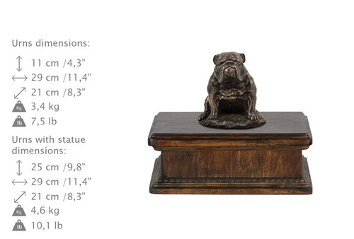 Bulldog inglese type urna - bulldog,