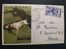 Boccasile dinamite nobel - boccasile,