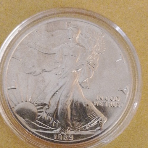 Usa 1989 american - american, silver