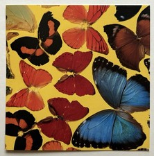 DAMIEN HIRST  - Carton d