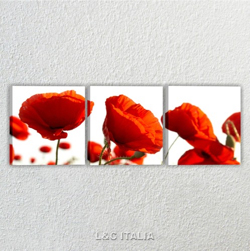 Papaveri quadro moderno xxl - 3,
