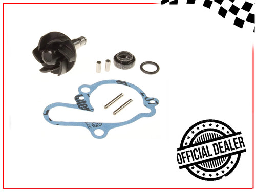 Kit revisione pompa acqua per - kit,