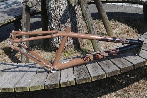 Telaio mtb gigante - telaio, stp