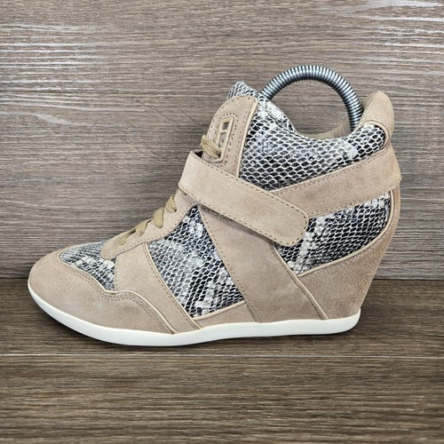 Scarpe stivaletti ash limited - scarpe,