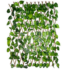 TRALICCIO con Foglie Siepe