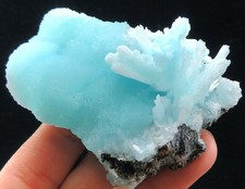 77g esemplari di minerali