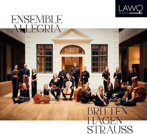 Ensemble allegria music - ensemble,