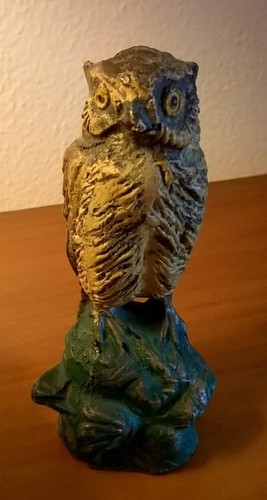 Vecchio gufo reale - gufo,