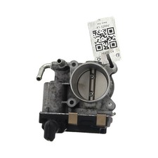 Corpo Farfallato - Renault