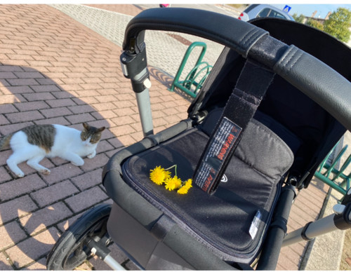 Passeggino boogabo cameleon - , 3
