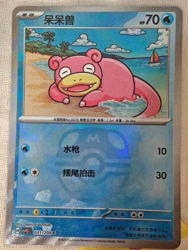 Pokemon cinese tcg - pokemon,