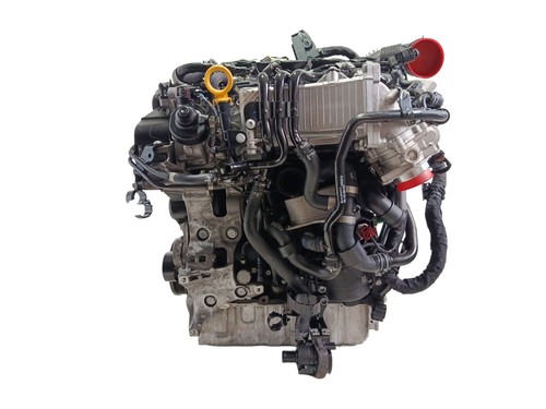 Dfg motore completo - dfg, /