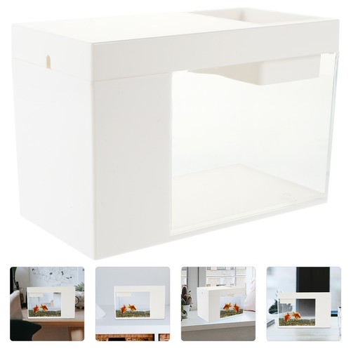 Gamberetti acquario vasca per - ,