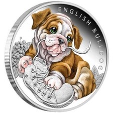 50 Cents Cuccioli - Bulldog