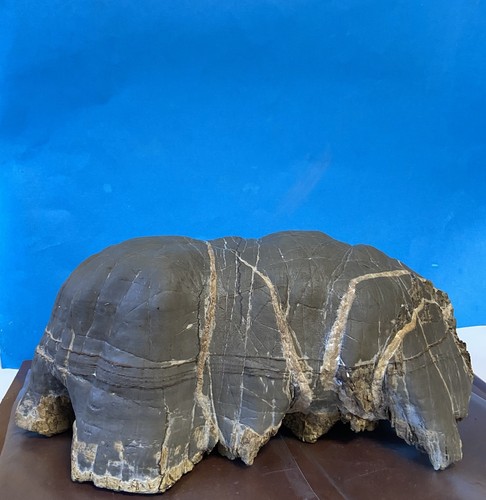 Pietra naturale suiseki