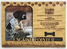 PUNTATORE INGLESE profilo cane