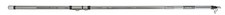 Canna alcedo green - , line