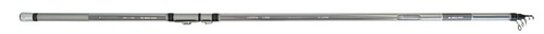 Canna alcedo green - ,