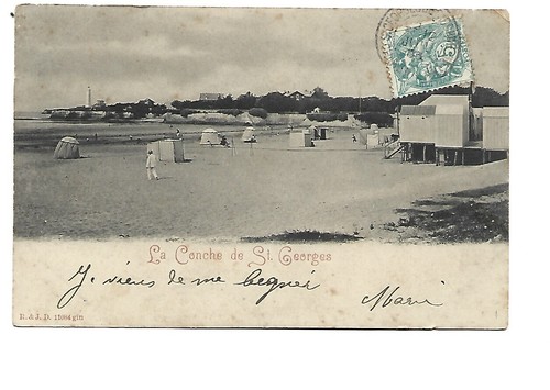 Conche de st georges - conche,