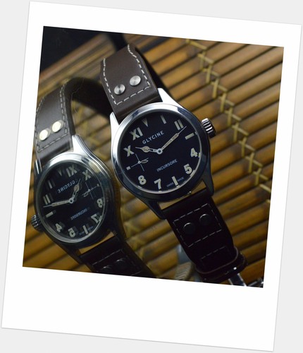 Glycine incursore raro - glycine,