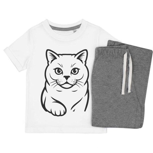 British shorthair cat - shorthair, set