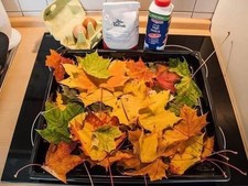 Account Clash Royale Maxed Out