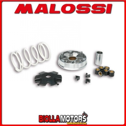 5113139 variatore malossi - 5113139,