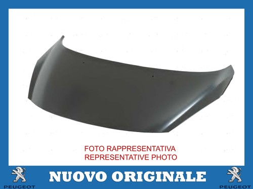 Cofano motore engine - cofano,
