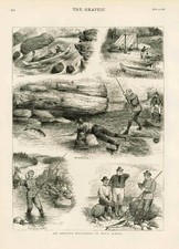 Stampa antica 1877 - CANADA