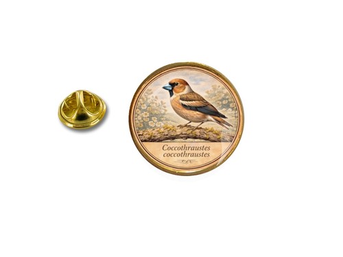 Spilla pin badge - pin,