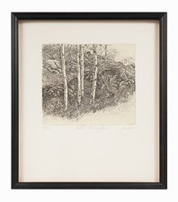 Stampa acquaforte Livio