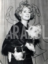 Foto vintage Moda per cani, Muffin indossa un cappottino, 1960, 20x14 cm