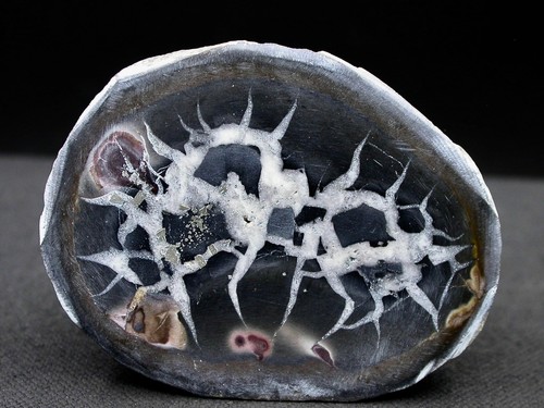 Septaria maroc 8 - septaria, x