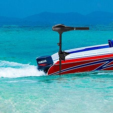 Motore fuoribordo 12V 58LBS