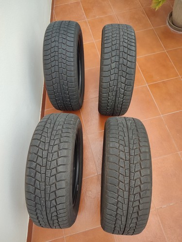 Gomme invernali 195 - 55, r16