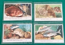 LIEBIG - Lotto di n. 4